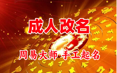 深圳成人改名-找大师一对一改名先分析后改名